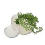 Vase PM en céramique blanche – Image 2