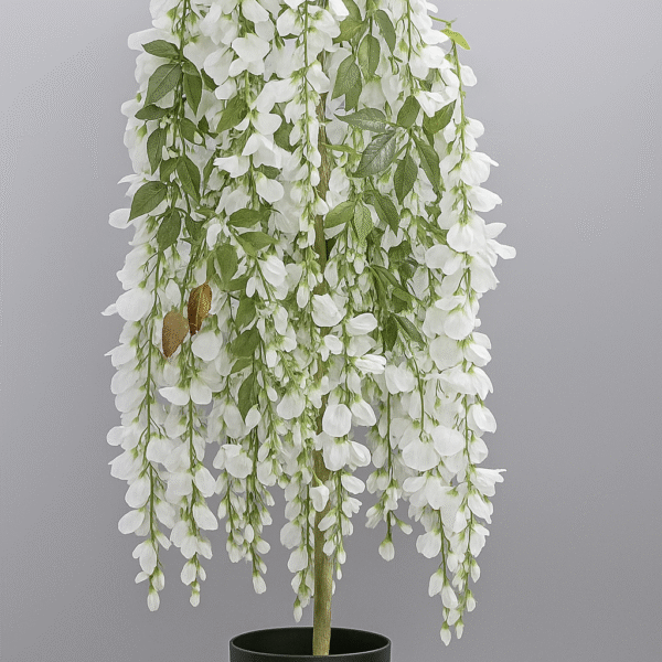 Plante décorative pm