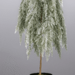 Plante décorative gm