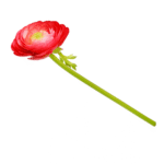 Plantes Nemusas artificielle