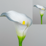 Plante artificielle élégante