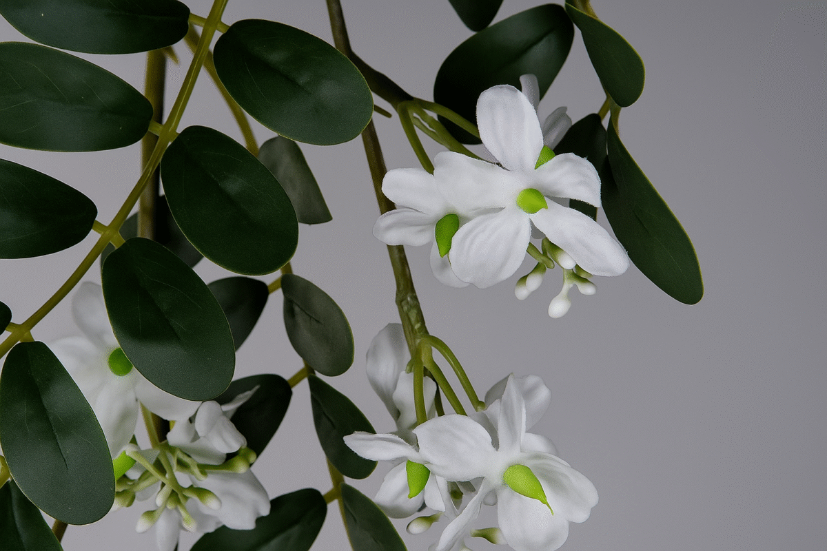 Plante guirlande décorative – Image 1