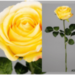 Rose artificielle jaune