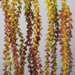 Plante artificielle Rama Grasa