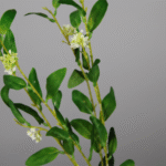 Plante artificielle décorative