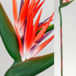 Plante artificielle Strelitzia roja rosa