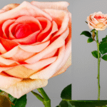 Rose salmón artificielle