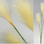 Taraxacu artificiel blanc