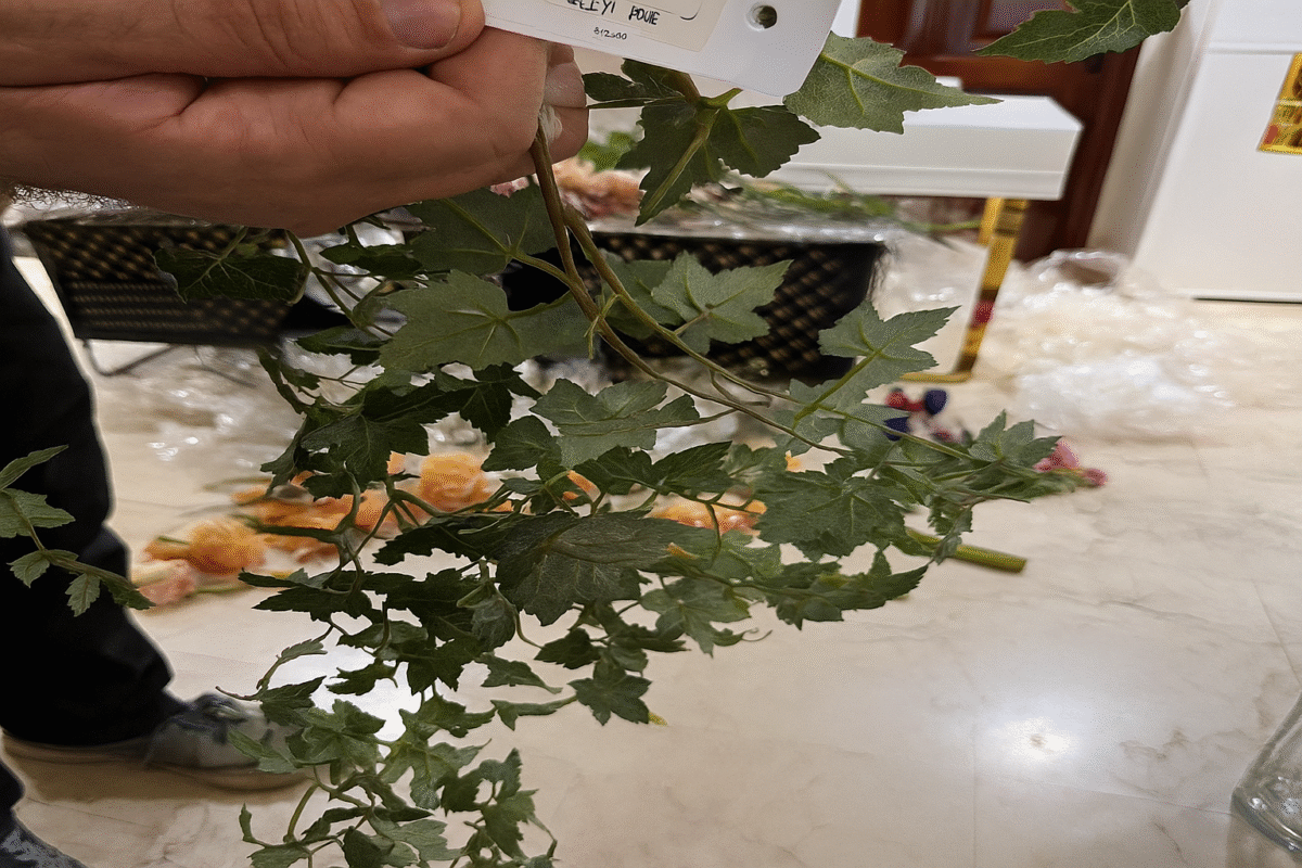 Plante Guirlande Hiedra artificielle – Image 1