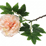 Rose pivoine (peonia) artificielle