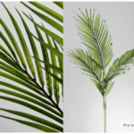 Rama Areca artificielle