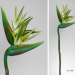 Plante artificielle Strelitzia verde