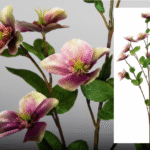 Plante artificielle Helleborus purpura