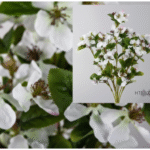 Plante artificielle à petite fleur blanche