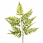 Plante artificielle Branche Fougère Verte