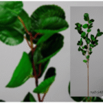 Plante artificielle Rama hojas verdes
