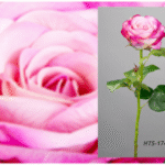 Rose artificielle Reina Púrpura