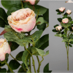 plante artificielle Rama Rosal Rosa