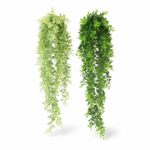 Plante Yadera artificielle