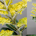 Plante artificielle Solidago amarillo