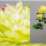 Fleur artificielle Peonia verdosa