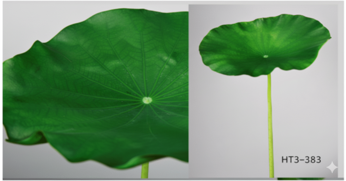 Plante artificielle – Image 1