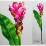 Plante artificielle Ginger fucsia