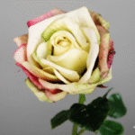 Rose artificielle Primavera