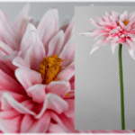 Rose Dalia artificielle