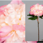 Rose Peonia Gigante Chicle artificielle