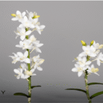 Plante artificielle Orquídea blanca