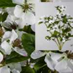 Plante artificielle blanche Florecitas