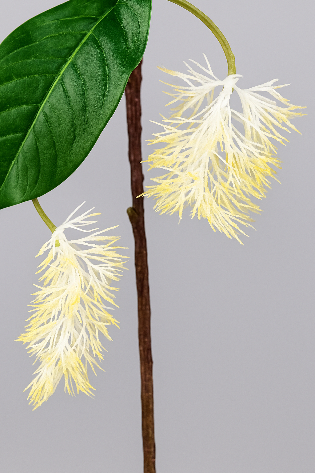 ChatGPT Image 13 nov. 2025, 05_40_00 Plante artificielle – Image 1