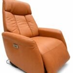 Fauteuil en cuir relax